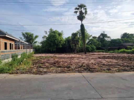 Vacant land with palm tree and nearby building