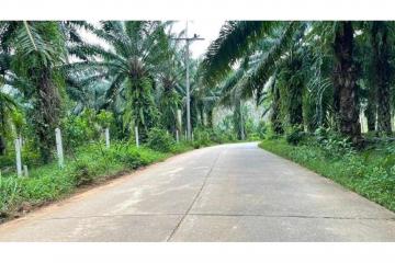 FOR SALE ‼️  LAND  IN NONG THALE.