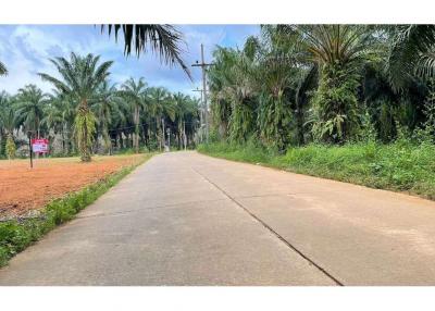 FOR SALE ‼️  LAND  IN NONG THALE.