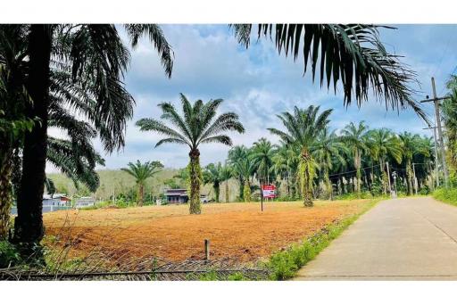 FOR SALE ‼️  LAND  IN NONG THALE.