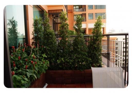 Aguston  1 Bedroom Phrom Phong Condo With Excellent Facilities