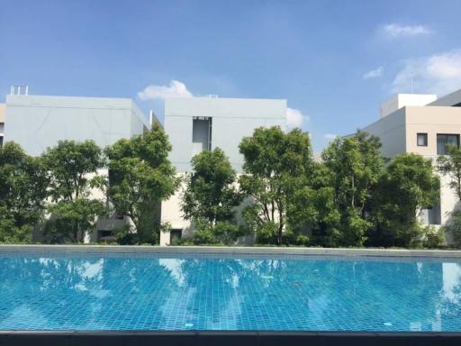 Sparkling outdoor swimming pool with modern buildings and lush greenery in the background