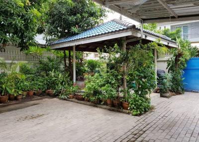 Cozy residential outdoor space with plant-covered pergola and tiled flooring