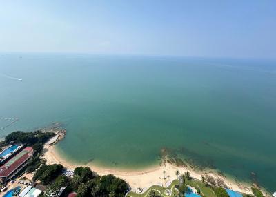 Aerial view of beachfront near residential area