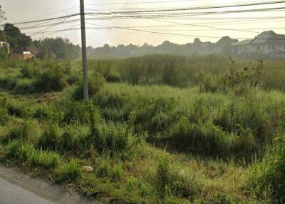 Prime Development Land for Sale in Chiang Mai - 8174 Sq Wah