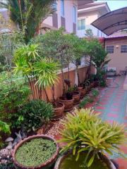 Lush garden at the entrance of a residential building