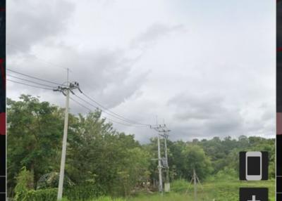 Lush Greenery and Power Lines under Cloudy Sky