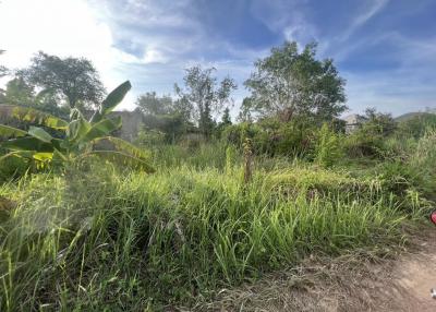 Land for sale near Plutaluang Golf Course, Sattahip, Chonburi.