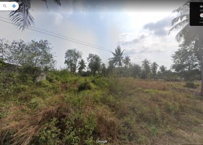 Land for sale in Thung Klom, Tan Man, Nong Prue, Bang Lamung, Chonburi.
