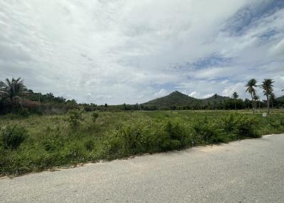 Land for sale on Pong Road, Bang Lamung, Chonburi.