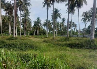 Land for sale in Huai Yai, Bang Lamung, Chonburi.