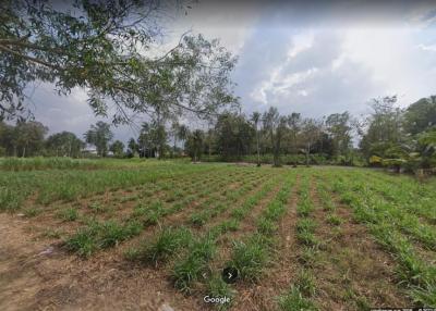Beautiful plot of land for sale, good price, Huay Yai, Pattaya.