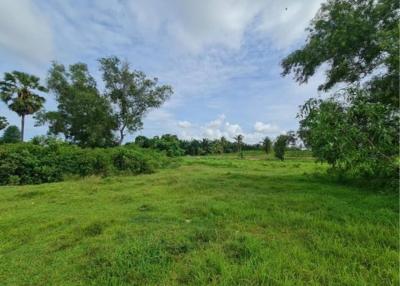 Land for sale in Sak Ngeaw, Huay Yai, Bang Lamung, Chonburi.