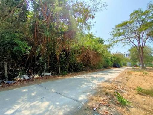 Land for rent, good location, Kasetsin, Pratumnak Hill, Pattaya.