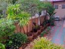 Lush residential garden area with decorative plants and a walkway