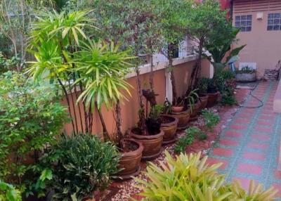 Lush residential garden area with decorative plants and a walkway