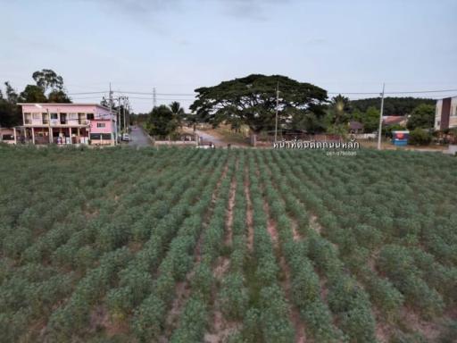 Agricultural field in front of residential buildings under a dusk sky