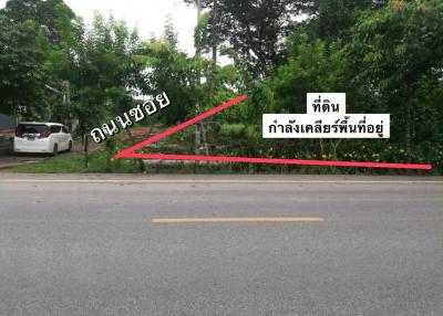 B-236  ถนนประชาสำราญ แขวงคลองซอยที่ 12 ฝั่งตะวันออก เขตหนองจอก กรุงเทพฯ