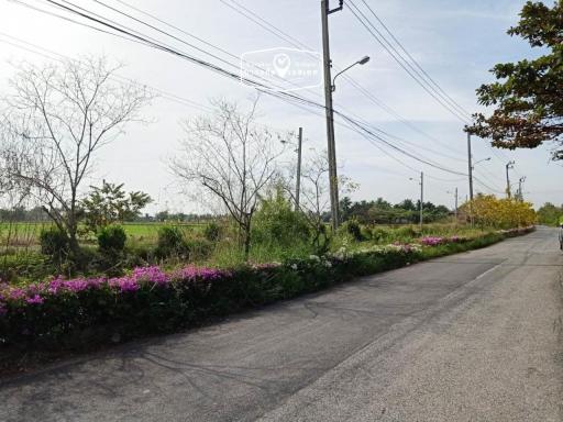 4,800 Sqm. Land listed for ฿ 3,200,000.