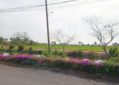 4,800 Sqm. Land listed for ฿ 3,200,000.