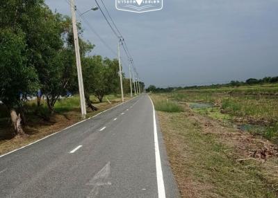 1,556 Sqm. Land listed for ฿ 5,835,000.