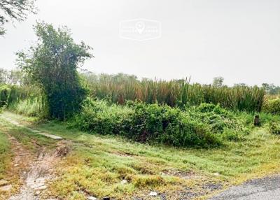 16,000 Sqm. Land listed for ฿ 15,000,000.