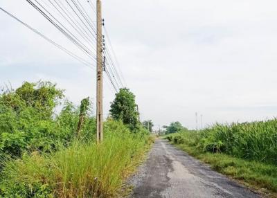 16,000 Sqm. Land listed for ฿ 15,000,000.