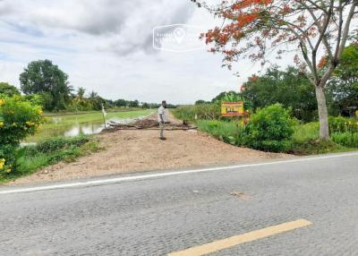 800 Sqm. Land listed for ฿ 1,800,000.