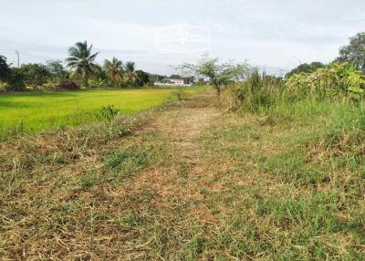 800 Sqm. Land listed for ฿ 1,800,000.