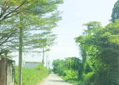 1,652 Sqm. Land listed for ฿ 6,000,000.
