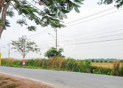 816 Sqm. Land listed for ฿ 3,000,000.