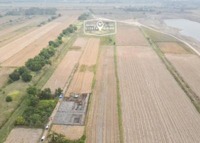 816 Sqm. Land listed for ฿ 3,000,000.