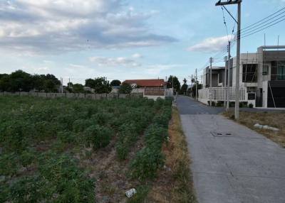 Residential area with a street view showcasing nearby houses and vegetation