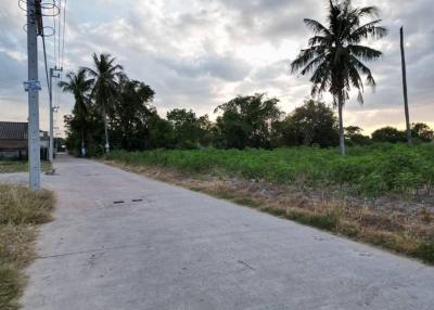 Empty lot with potential for development near a paved road