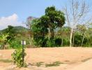 Vacant land lot with greenery and clear blue sky