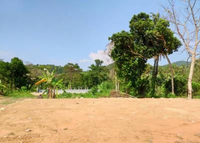 empty plot of land with greenery in the background under a clear blue sky