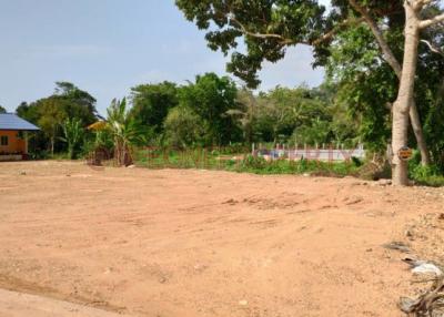 Empty plot of land ready for construction with surrounding greenery