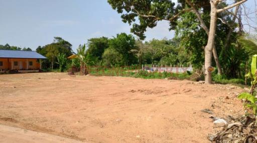 Empty plot of land ready for construction with surrounding greenery