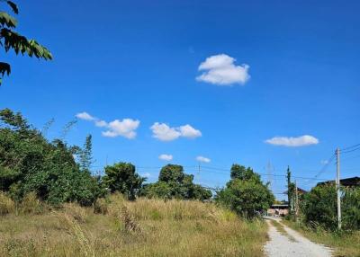 Open field with a dirt path under a clear blue sky