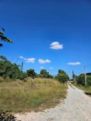 Open field with a dirt path under a clear blue sky