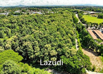 Land adjacted to river with teak trees for sale