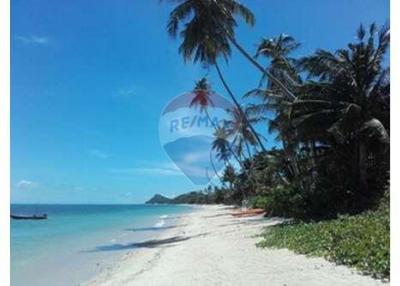 Seaside Retreat: 3 Bedrooms Beachfront Villa In Bang Por