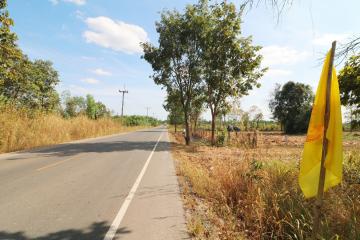 3 Rai, 84 Talang Wah Of Land For Sale, Phra That Bang Phuan, Nong Khai, Thailand