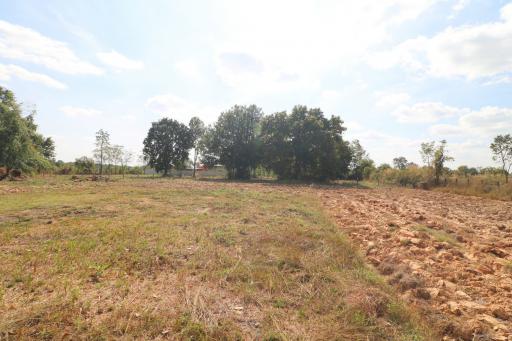 3 Rai, 84 Talang Wah Of Land For Sale, Phra That Bang Phuan, Nong Khai, Thailand