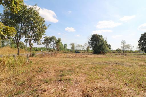 3 Rai, 84 Talang Wah Of Land For Sale, Phra That Bang Phuan, Nong Khai, Thailand