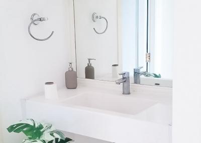 Modern bathroom interior with white sink, vanity, and decorative green plant