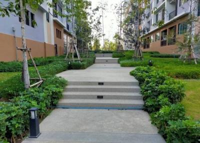 Paved pathway leading through a landscaped garden area between apartment buildings