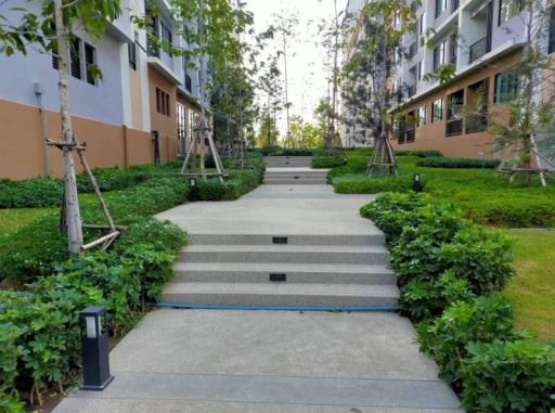 Paved pathway leading through a landscaped garden area between apartment buildings