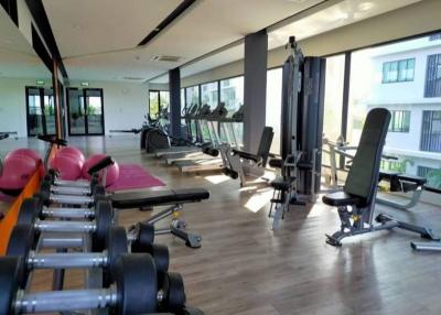 Modern gym in residential building with various exercise machines