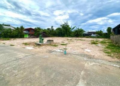 Saraphi District Land for sale 2.5 Mb. 182 sqw. #Thawangtan